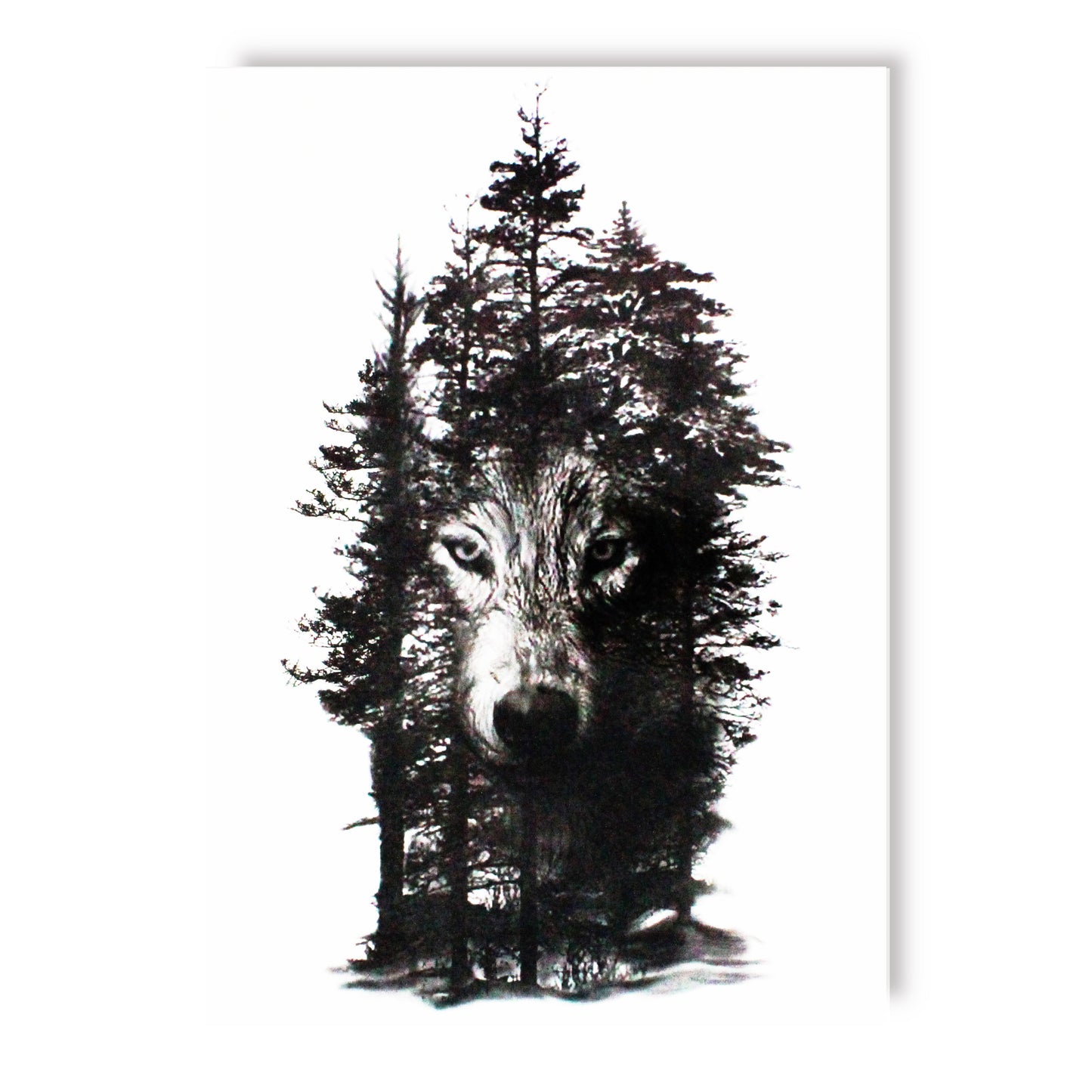 Wolf in the shade of the forest (LL-574) - Tattooshka USA