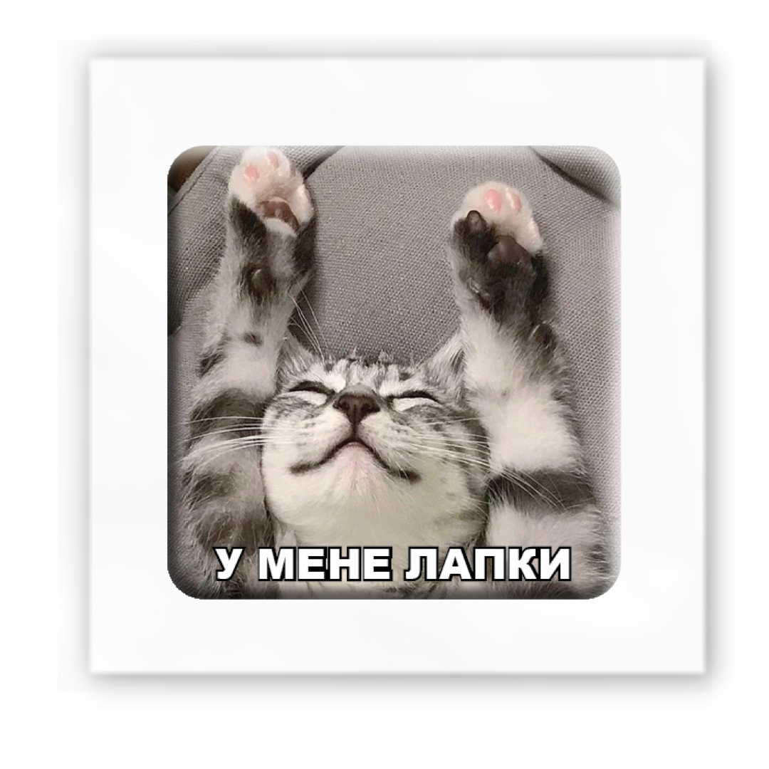3D sticker "I have paws" (SX-114) - Tattooshka USA