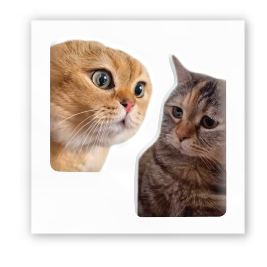 3D sticker "Cat memes" (SX-128) - Tattooshka USA