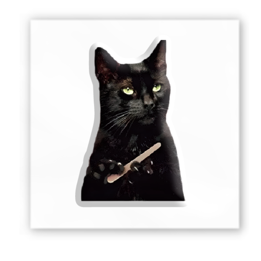 3D sticker "Black cat meme" (SX-133) - Tattooshka USA