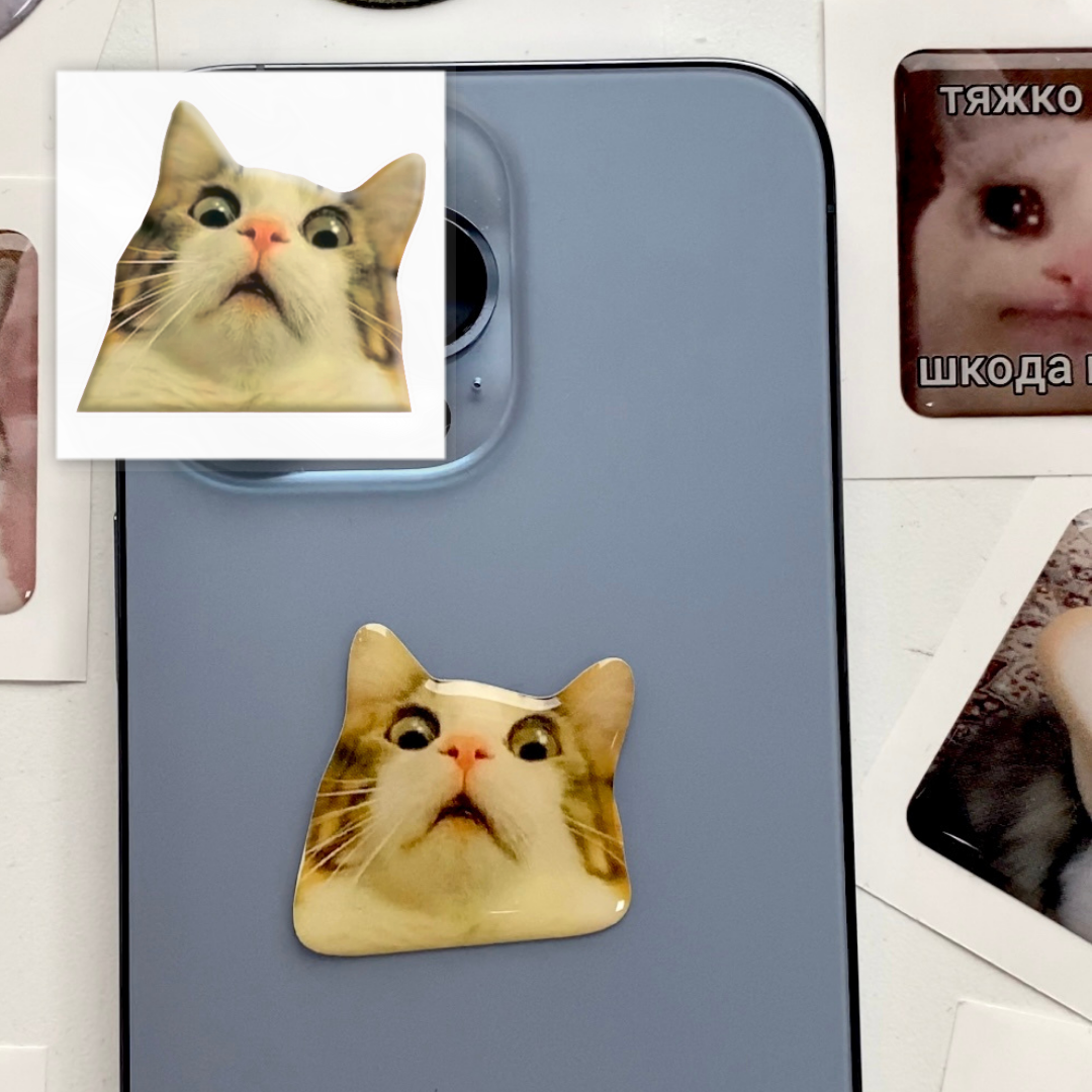 3D sticker "Surprised cat meme" (SX-27) - Tattooshka USA