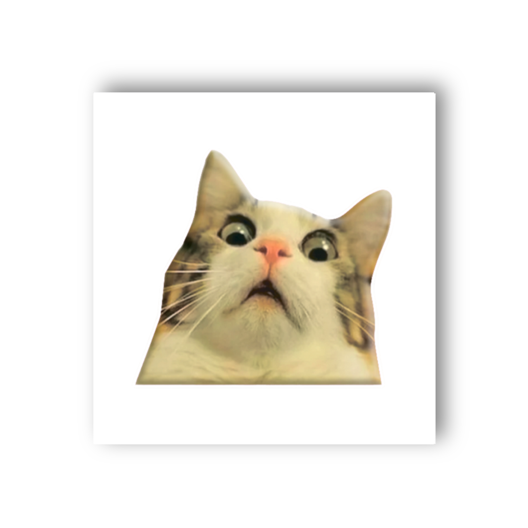 3D sticker "Surprised cat meme" (SX-27) - Tattooshka USA