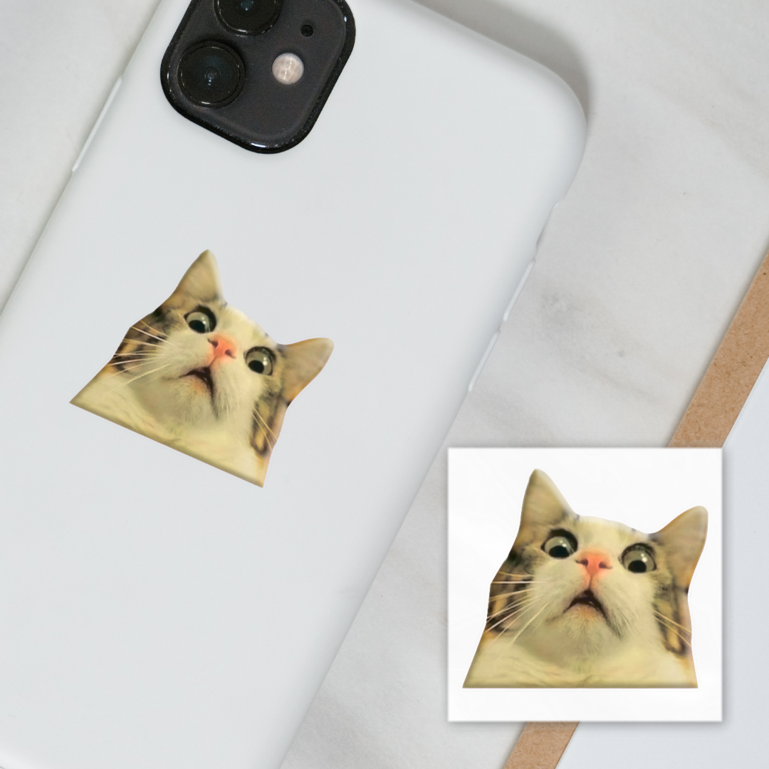 3D sticker "Surprised cat meme" (SX-27) - Tattooshka USA