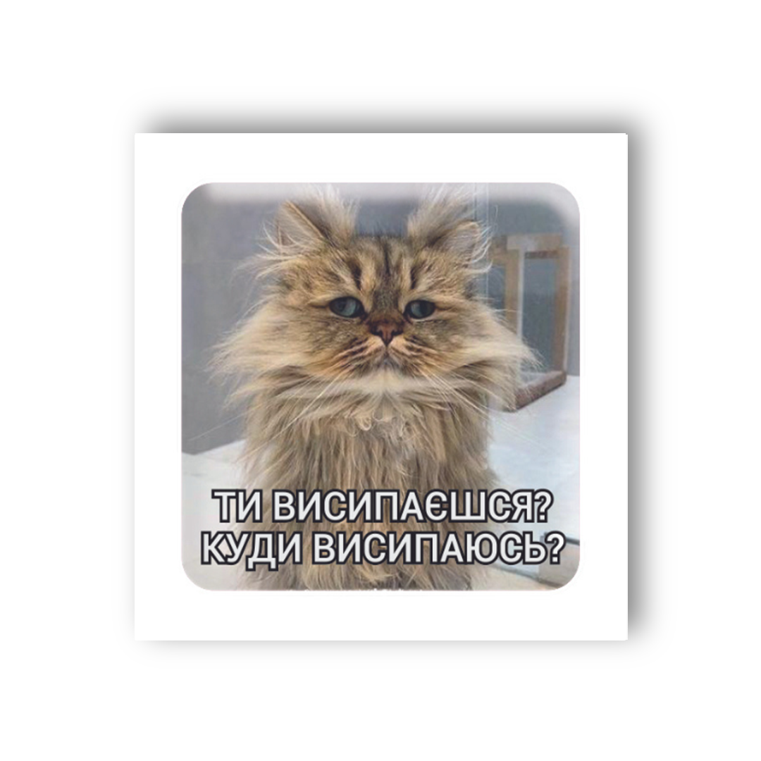 3D sticker "Sleepy cat" (SX-38) - Tattooshka USA