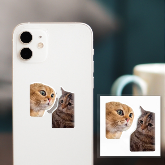 3D sticker "Cat memes" (SX-128) - Tattooshka USA