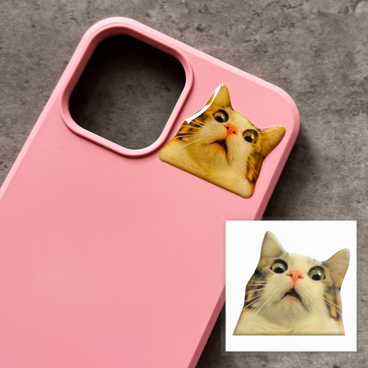 3D sticker "Surprised cat meme" (SX-27) - Tattooshka USA